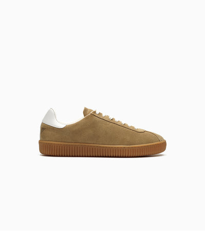 Flow Coral