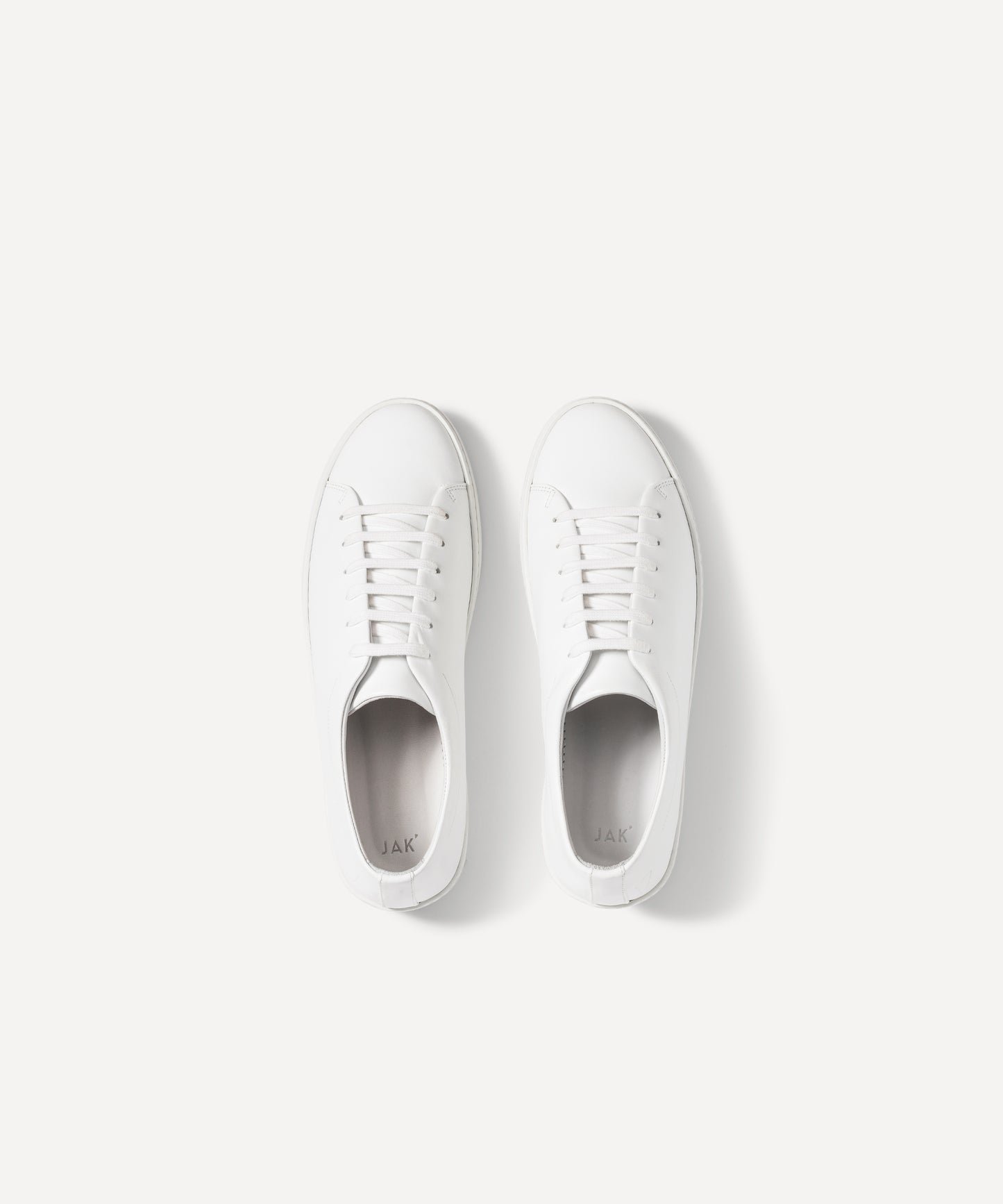 Royal White