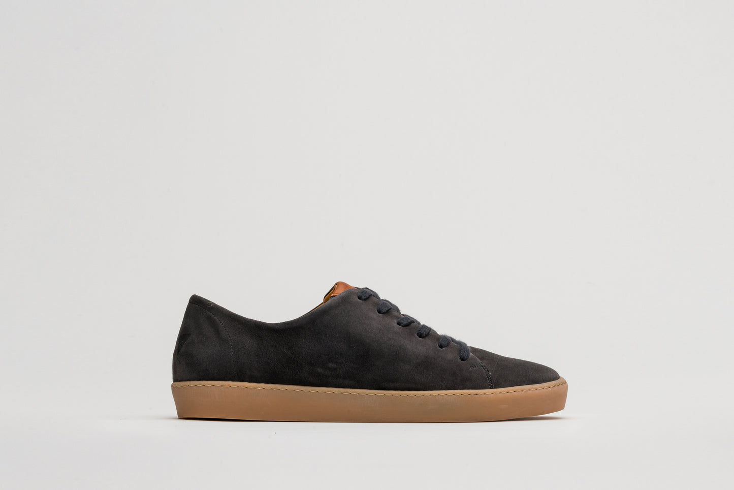Legacy Anthracite