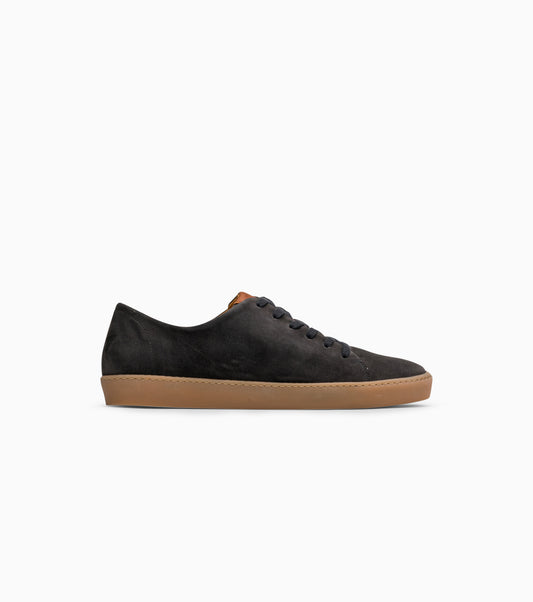 Legacy Anthracite