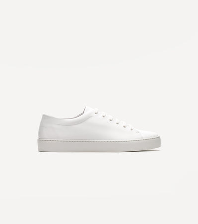 Royal White