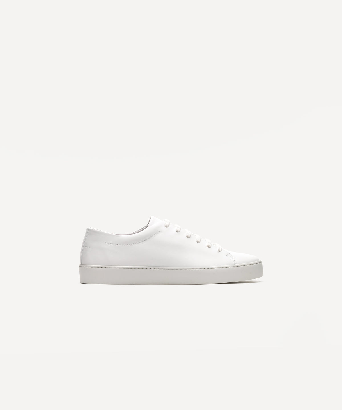 Royal White – JAK